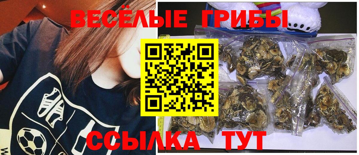 Псилоцибиновые грибы Magic Shrooms Нижний Тагил